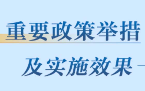 重要舉措及實施效果